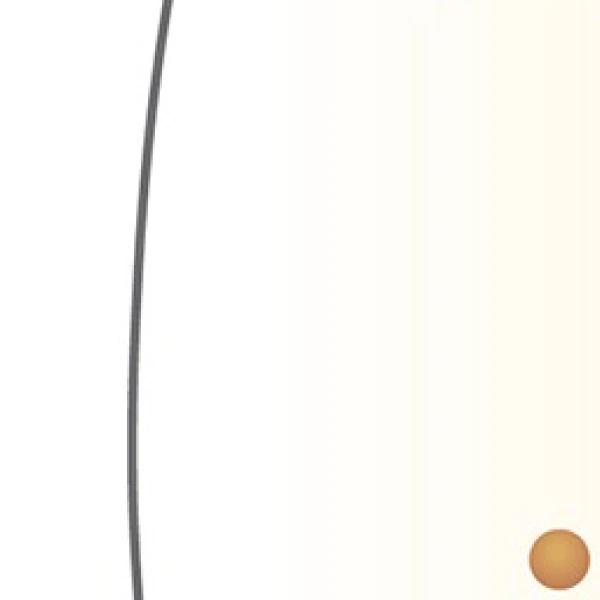 歯が白くなるメカニズム